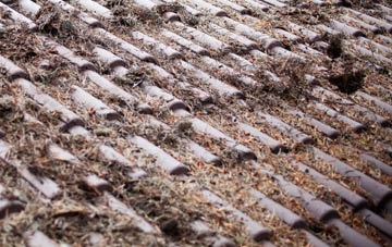 Whinny Heights roof cleaning companies